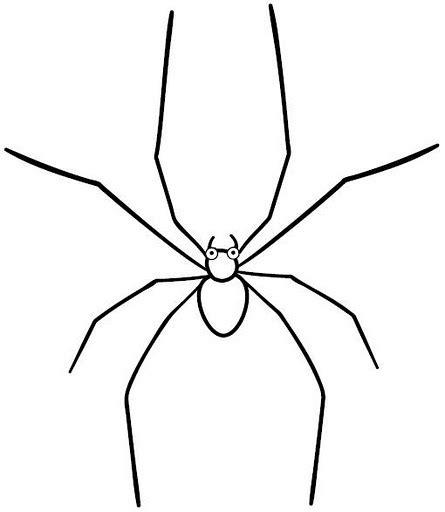 DIBUJOS DE ARAÑAS PARA PINTAR Y COLOREAR: Aprender como Dibujar y Colorear Fácil, dibujos de Arañas Pequeñas, como dibujar Arañas Pequeñas para colorear e imprimir