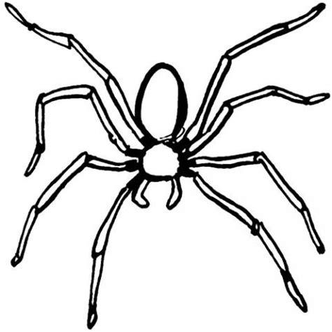 Araña: Dibujos para colorear: Dibujar y Colorear Fácil con este Paso a Paso, dibujos de Arañas Pequeñas, como dibujar Arañas Pequeñas para colorear