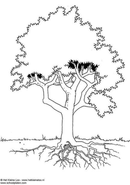 Coloriage arbre - img 3724: Aprende como Dibujar Fácil con este Paso a Paso, dibujos de Arbol Test Psicologico, como dibujar Arbol Test Psicologico para colorear e imprimir