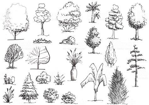 Resultado de imagen para dibujar arbustos | Landscape: Aprende a Dibujar y Colorear Fácil, dibujos de Arboles Arquitectura, como dibujar Arboles Arquitectura para colorear e imprimir