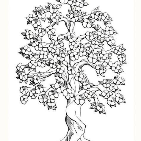 arbol de cerezo dibujo | Arreglo floral | Cerezos dibujo: Dibujar y Colorear Fácil, dibujos de Arboles De Cerezo, como dibujar Arboles De Cerezo para colorear