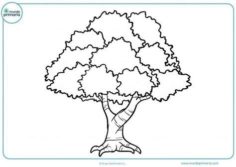 Dibujos De Arboles Para Colorear | Dibujos de árboles: Aprender a Dibujar y Colorear Fácil con este Paso a Paso, dibujos de Arboles Desde Arriba, como dibujar Arboles Desde Arriba para colorear