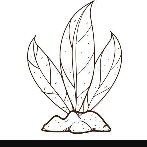 Hojas Verdes. Planta En Los Arbustos De Tierra Dibujo De: Dibujar Fácil, dibujos de Arbustos En Planta, como dibujar Arbustos En Planta paso a paso para colorear