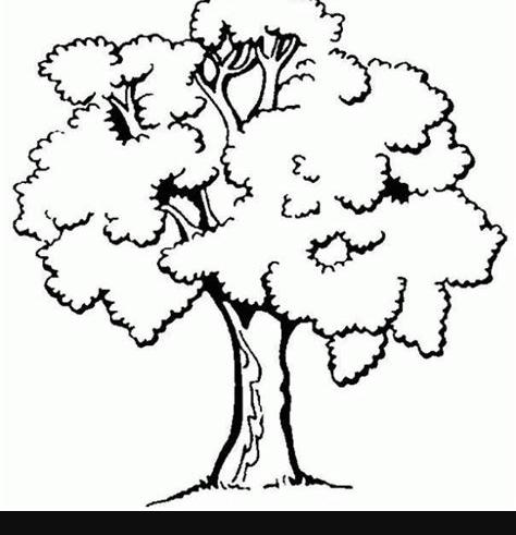 Arbustos en dibujos para colorear - Imagui: Dibujar y Colorear Fácil, dibujos de Arbustos Realistas, como dibujar Arbustos Realistas paso a paso para colorear