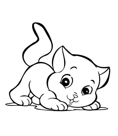 Gato bebé 【¿Cómo cuidarlos?. Alimentación y más】↓: Aprender como Dibujar Fácil con este Paso a Paso, dibujos de Aun Gato, como dibujar Aun Gato paso a paso para colorear