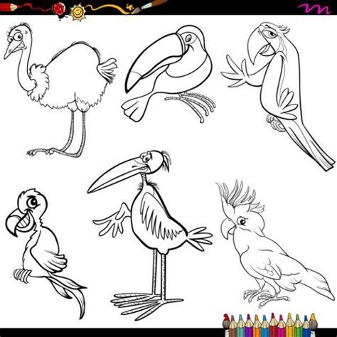 Dibujos De Aves Para Colorear En Preescolar: Dibujar y Colorear Fácil con este Paso a Paso, dibujos de Aves, como dibujar Aves para colorear e imprimir
