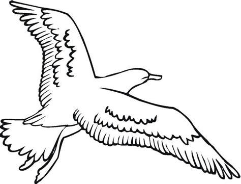 Imagen de gaviota para dibujar y colorear | Gaviotas: Dibujar y Colorear Fácil con este Paso a Paso, dibujos de Aves Volando, como dibujar Aves Volando para colorear e imprimir