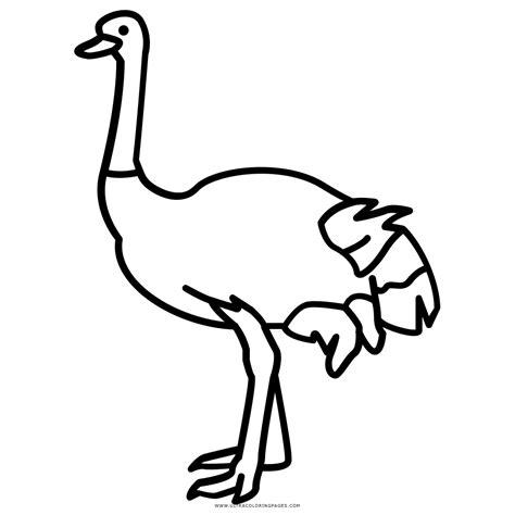 Dibujo De Avestruz Para Colorear - Ultra Coloring Pages: Dibujar y Colorear Fácil, dibujos de Avestruz, como dibujar Avestruz para colorear