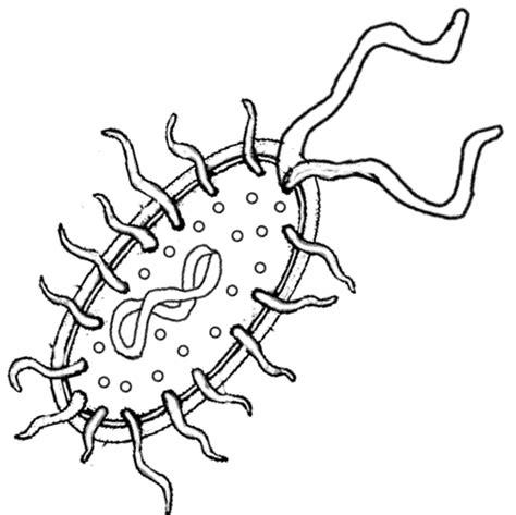 Dibujos para colorear de la bacteria - Imagui: Aprende como Dibujar y Colorear Fácil con este Paso a Paso, dibujos de Bacterias, como dibujar Bacterias paso a paso para colorear