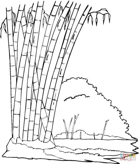 Dibujo de Bosque de bambú para colorear | Dibujos para: Dibujar y Colorear Fácil con este Paso a Paso, dibujos de Bambu, como dibujar Bambu paso a paso para colorear