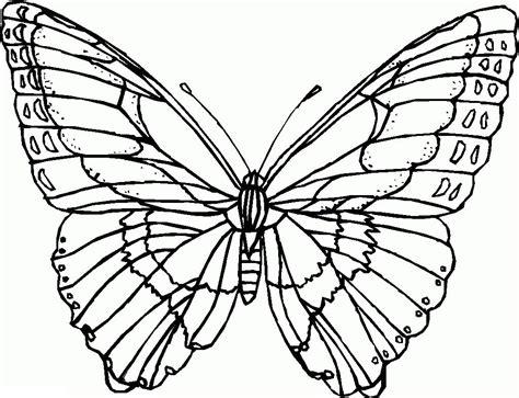 Dibujos de mariposas bonitas para colorear: Aprender como Dibujar Fácil, dibujos de Bonita Una Mariposa, como dibujar Bonita Una Mariposa para colorear e imprimir