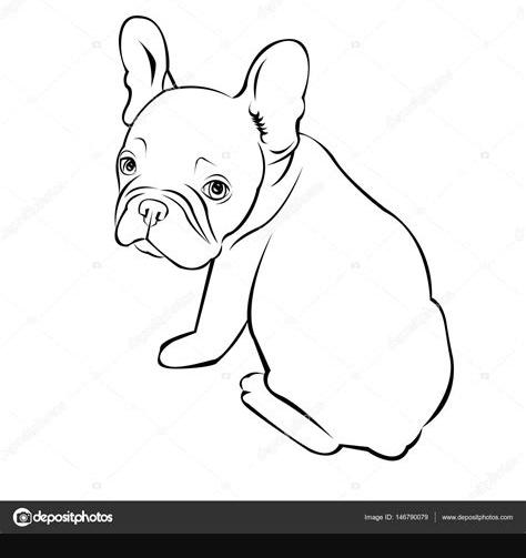 Dibujos Para Colorear De Perros Bulldog - Impresion gratuita: Dibujar y Colorear Fácil, dibujos de Bulldog, como dibujar Bulldog para colorear e imprimir