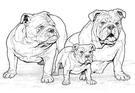 Dibujos de Familia de Bulldog para Colorear. Pintar e: Aprende a Dibujar y Colorear Fácil con este Paso a Paso, dibujos de Bulldog, como dibujar Bulldog para colorear