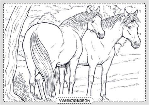 Dibujos de caballos Colorear pintar - Rincon Dibujos: Aprender como Dibujar y Colorear Fácil con este Paso a Paso, dibujos de Caballos Reales, como dibujar Caballos Reales para colorear