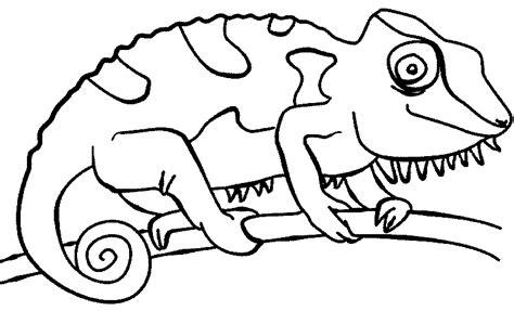 La Chachipedia: Dibujos de camaleones para colorear. para: Aprende a Dibujar y Colorear Fácil con este Paso a Paso, dibujos de Camaleon, como dibujar Camaleon paso a paso para colorear