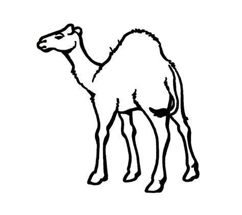 Dibujo de Camello para colorear fácil - Dibujos Fáciles ⚡: Dibujar Fácil, dibujos de Camello, como dibujar Camello para colorear