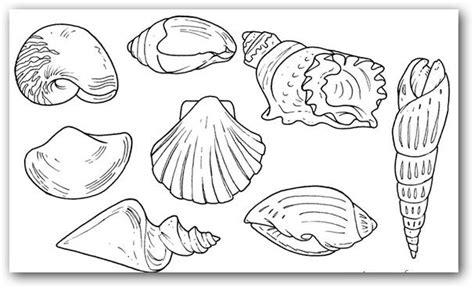 Dibujos para colorear caracoles de mar | Dibujos para Colorear: Aprende como Dibujar Fácil, dibujos de Caracoles De Mar, como dibujar Caracoles De Mar para colorear e imprimir