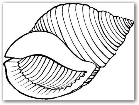 Dibujos para colorear caracoles de mar | Dibujos para Colorear: Aprender a Dibujar Fácil con este Paso a Paso, dibujos de Caracoles De Mar, como dibujar Caracoles De Mar paso a paso para colorear