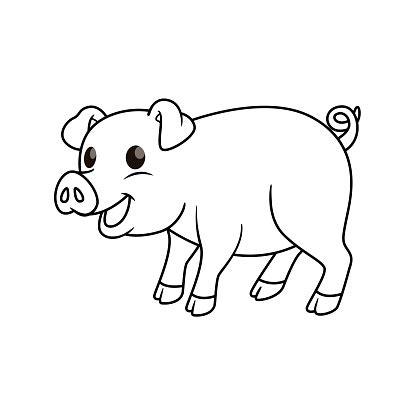 Ilustración de Ilustración Vectorial De Cerdo Aislado: Dibujar y Colorear Fácil, dibujos de Cerdito, como dibujar Cerdito para colorear