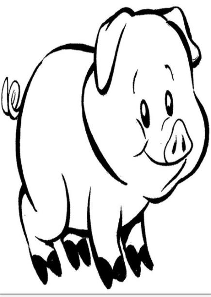 caras de cerdos para colorear - imágenes para colorear: Dibujar y Colorear Fácil, dibujos de Cerdo Realista, como dibujar Cerdo Realista para colorear