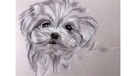 Como Dibujar un Perrito con Carboncillo y Lapiz Carbon: Dibujar Fácil, dibujos de Con Carboncillo Un Perro, como dibujar Con Carboncillo Un Perro para colorear e imprimir