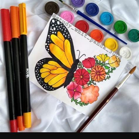 Study_with_panda_3008 on Instagram. Dibujo de mariposa: Dibujar Fácil, dibujos de Con Colores Acuarelables, como dibujar Con Colores Acuarelables paso a paso para colorear