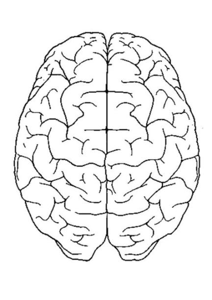 Cerebro para colorear para niños - Imagui: Dibujar Fácil con este Paso a Paso, dibujos de Con La Parte Derecha Del Cerebro, como dibujar Con La Parte Derecha Del Cerebro para colorear
