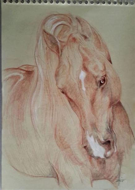 Dibujo de caballo a sanguina | Dibujos. Dibujos de caballos: Dibujar Fácil con este Paso a Paso, dibujos de Con Sanguina, como dibujar Con Sanguina para colorear
