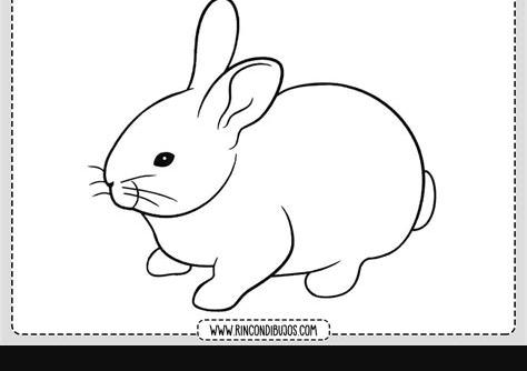 Dibujo de conejo para Colorear y Pintar - Rincon Dibujos: Dibujar y Colorear Fácil, dibujos de Conejos, como dibujar Conejos para colorear e imprimir
