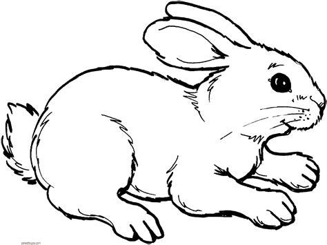 Dibujos de conejos para colorear: Aprender como Dibujar y Colorear Fácil con este Paso a Paso, dibujos de Conejos, como dibujar Conejos para colorear