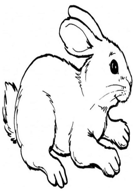 Conejos para colorear - Dibujosparacolorear.eu: Dibujar Fácil, dibujos de Conejos Realistas, como dibujar Conejos Realistas para colorear e imprimir