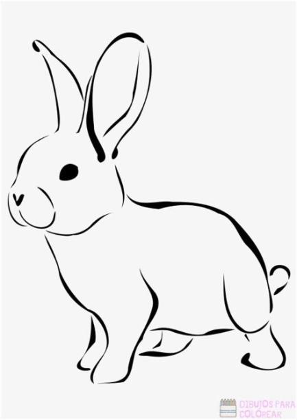 磊 Dibujos de Conejos【+250】faciles para colorear: Dibujar Fácil, dibujos de Conejos Realistas, como dibujar Conejos Realistas para colorear