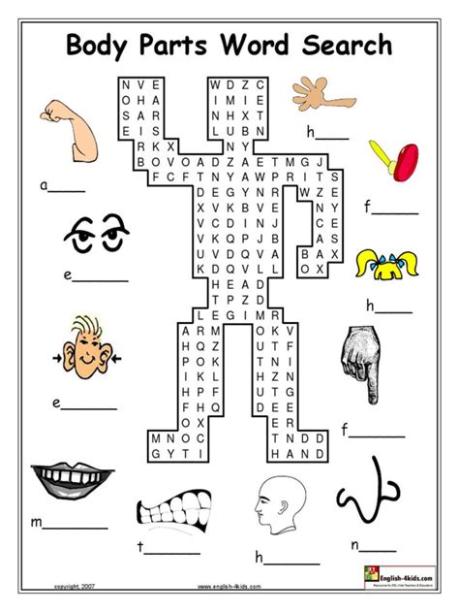 human body word search puzzle - Buscar con Google | Partes: Aprender a Dibujar Fácil, dibujos de Crucigramas En Word, como dibujar Crucigramas En Word para colorear e imprimir