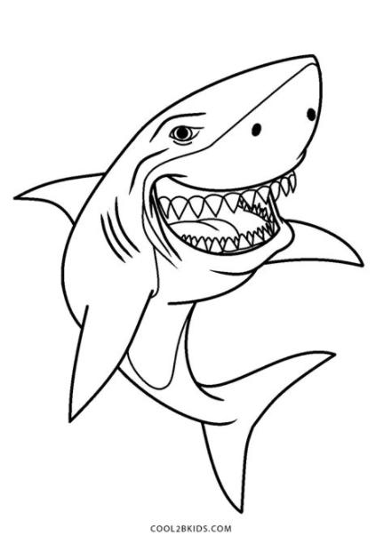 Dibujos de Tiburón para colorear - Páginas para imprimir: Dibujar Fácil, dibujos de Dientes Realistas, como dibujar Dientes Realistas para colorear