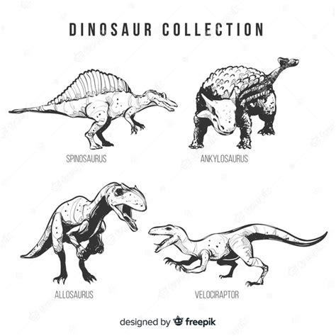 Colección de dinosaurios realistas dibujados a mano: Aprende a Dibujar y Colorear Fácil, dibujos de Dinosaurios Con La Mano, como dibujar Dinosaurios Con La Mano para colorear