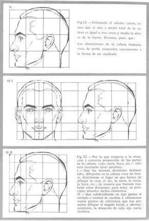 Aprende a dibujar la cabeza humana. Retratos | Cabeza: Dibujar Fácil, dibujos de El Canon Del Rostro Humano, como dibujar El Canon Del Rostro Humano paso a paso para colorear