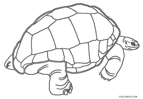 Dibujos de Tortugas para colorear - Páginas para imprimir: Dibujar y Colorear Fácil, dibujos de El Caparazon De Una Tortuga, como dibujar El Caparazon De Una Tortuga para colorear