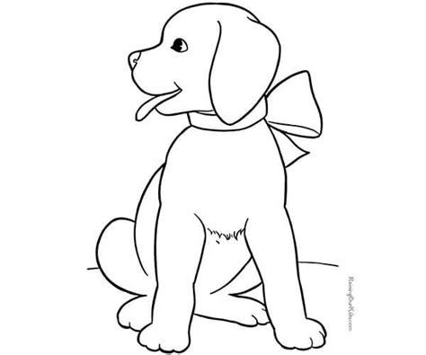 35 imágenes de perros para colorear e imprimir | Cancitos: Dibujar y Colorear Fácil con este Paso a Paso, dibujos de El Hocico De Un Perro, como dibujar El Hocico De Un Perro para colorear