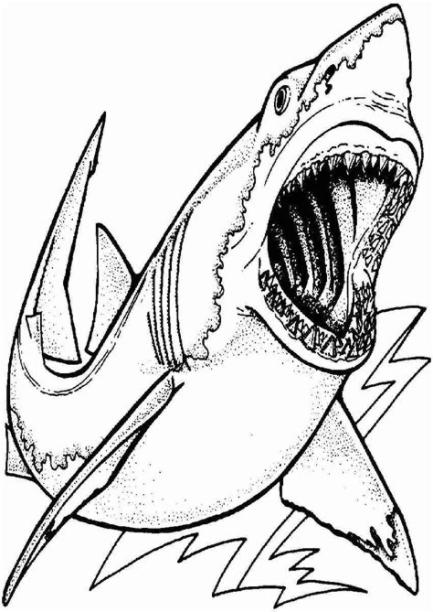 Megalodon Shark Coloring Pages at GetColorings.com | Free: Dibujar Fácil con este Paso a Paso, dibujos de El Megalodon, como dibujar El Megalodon para colorear