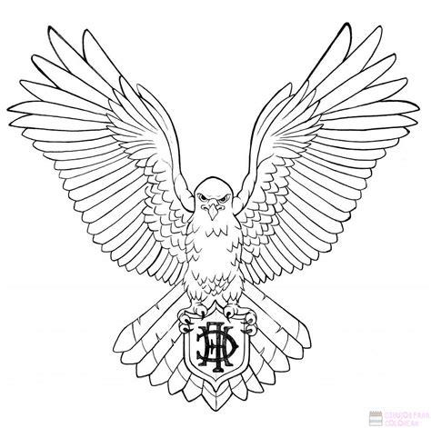 磊 Dibujos de halcones【+250】rapidos para colorear: Dibujar Fácil, dibujos de El Ojo De Un Aguila, como dibujar El Ojo De Un Aguila paso a paso para colorear