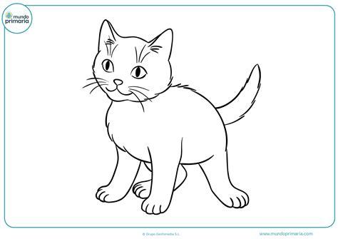 Dibujos de gatos para imprimir y colorear - Mundo Primaria: Dibujar y Colorear Fácil, dibujos de El Pelo De Un Gato, como dibujar El Pelo De Un Gato paso a paso para colorear