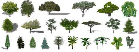Descargar árboles. plantas y vegetación en 2D 3D: Dibujar y Colorear Fácil, dibujos de En Planta En Sketchup, como dibujar En Planta En Sketchup para colorear