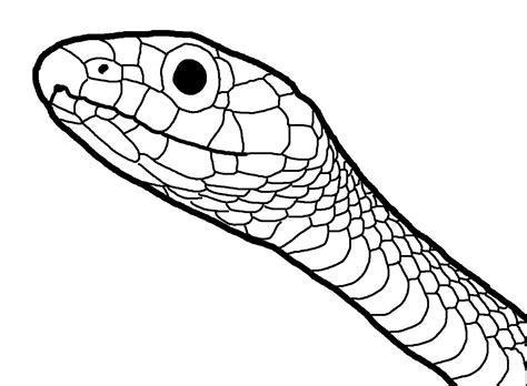 Cabeza de serpiente para colorear :: Imágenes y fotos: Dibujar y Colorear Fácil con este Paso a Paso, dibujos de Escamas De Serpiente, como dibujar Escamas De Serpiente para colorear e imprimir