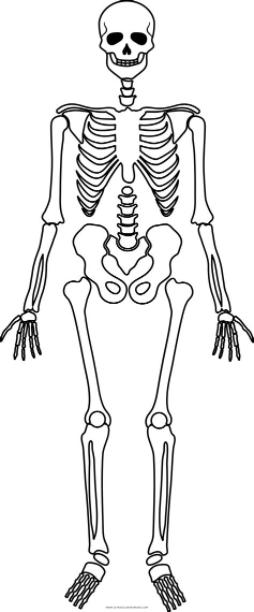 Dibujo De Esqueleto Para Colorear - Ultra Coloring Pages: Aprende como Dibujar y Colorear Fácil con este Paso a Paso, dibujos de Esqueleto, como dibujar Esqueleto paso a paso para colorear