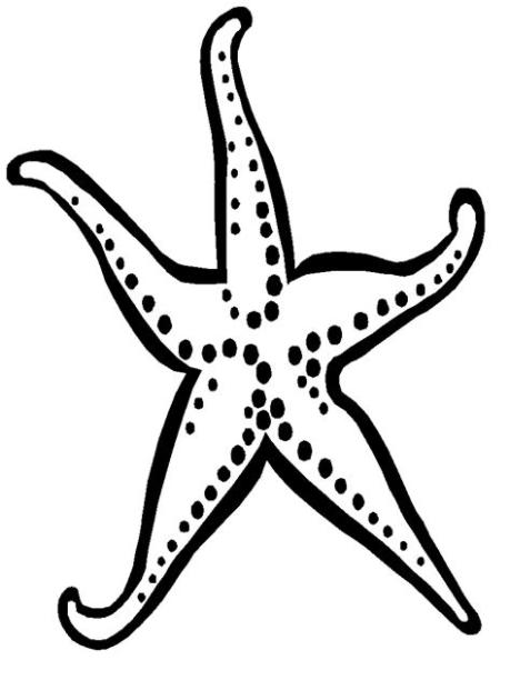 Menta Más Chocolate - RECURSOS y ACTIVIDADES PARA: Dibujar y Colorear Fácil, dibujos de Estrella De Mar, como dibujar Estrella De Mar para colorear