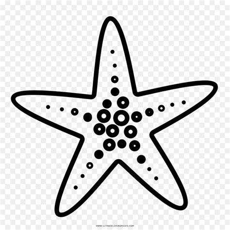 Para Colorear Estrella De Mar - páginas para colorear: Aprender como Dibujar y Colorear Fácil, dibujos de Estrellas De Mar, como dibujar Estrellas De Mar paso a paso para colorear