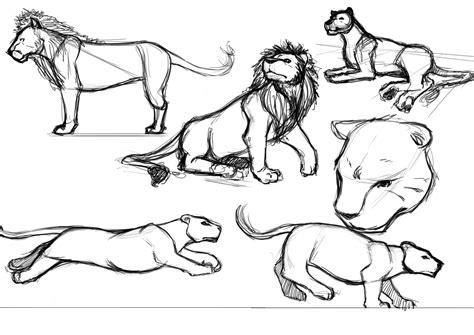 Animales felinos para colorear - Imagui: Aprender a Dibujar Fácil, dibujos de Felino, como dibujar Felino para colorear