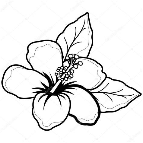 Imágenes: flor hawaiana dibujo | Flor de hibisco hawaiano: Aprender a Dibujar Fácil con este Paso a Paso, dibujos de Flor Hawaiana, como dibujar Flor Hawaiana para colorear e imprimir