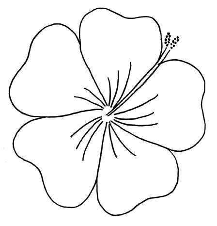 Dibujos De Flores Hawaianas Para Colorear: Aprende como Dibujar y Colorear Fácil, dibujos de Flor Hawaiana, como dibujar Flor Hawaiana para colorear