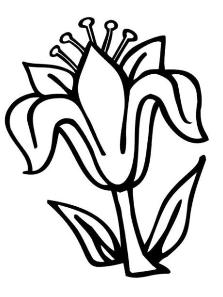 Dibujos para colorear - flores. para niñas y niños: Aprender como Dibujar y Colorear Fácil con este Paso a Paso, dibujos de Flores A Lapiz Para Niños, como dibujar Flores A Lapiz Para Niños para colorear e imprimir